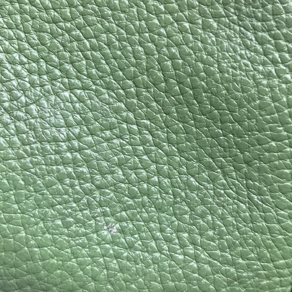 Dooney and Burke green brown purse - Picture 9 of 13